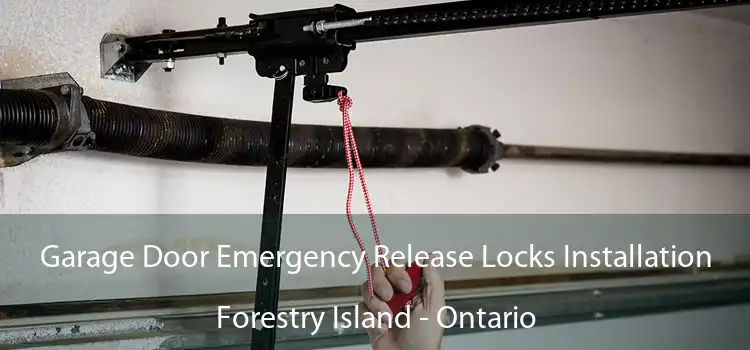 Garage Door Emergency Release Locks Installation Forestry Island - Ontario