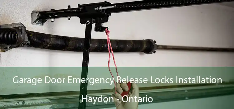 Garage Door Emergency Release Locks Installation Haydon - Ontario