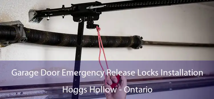 Garage Door Emergency Release Locks Installation Hoggs Hollow - Ontario