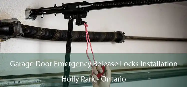 Garage Door Emergency Release Locks Installation Holly Park - Ontario