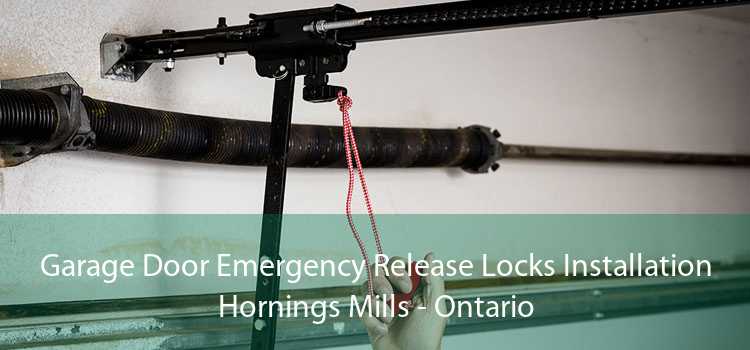 Garage Door Emergency Release Locks Installation Hornings Mills - Ontario