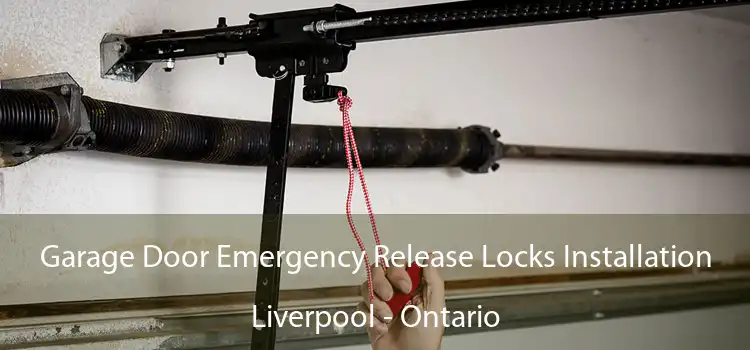 Garage Door Emergency Release Locks Installation Liverpool - Ontario