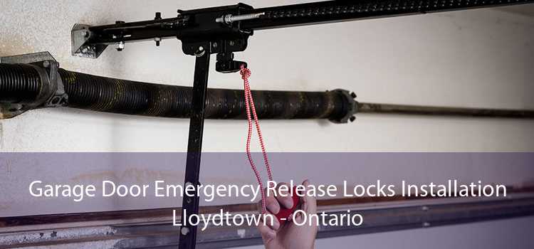 Garage Door Emergency Release Locks Installation Lloydtown - Ontario