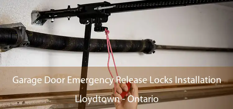 Garage Door Emergency Release Locks Installation Lloydtown - Ontario