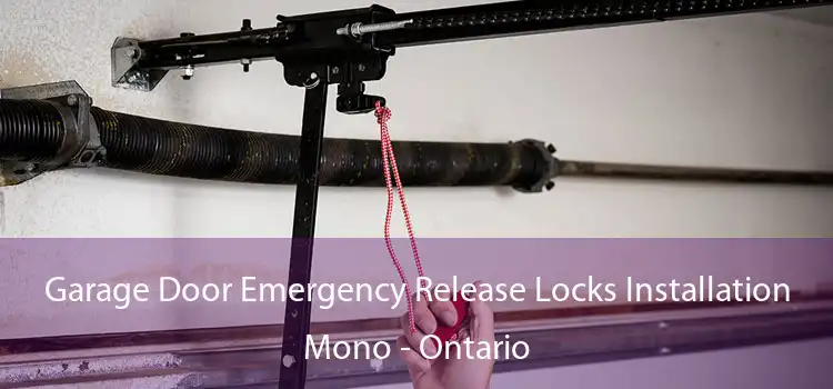 Garage Door Emergency Release Locks Installation Mono - Ontario