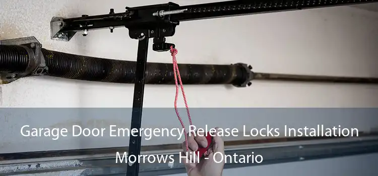 Garage Door Emergency Release Locks Installation Morrows Hill - Ontario