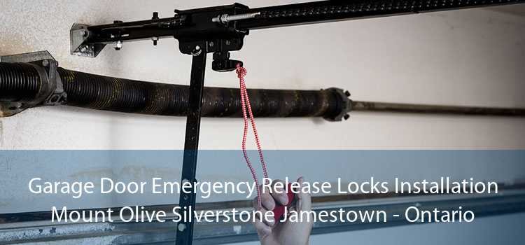 Garage Door Emergency Release Locks Installation Mount Olive Silverstone Jamestown - Ontario