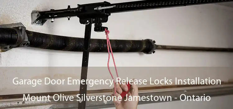 Garage Door Emergency Release Locks Installation Mount Olive Silverstone Jamestown - Ontario