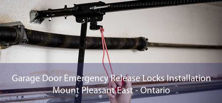 Garage Door Emergency Release Locks Installation Mount Pleasant East - Ontario