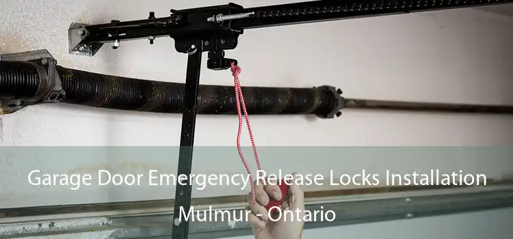 Garage Door Emergency Release Locks Installation Mulmur - Ontario