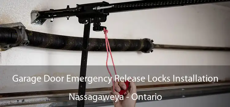Garage Door Emergency Release Locks Installation Nassagaweya - Ontario