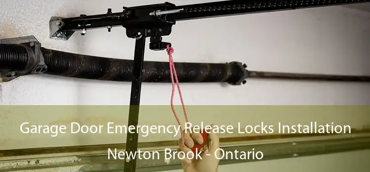 Garage Door Emergency Release Locks Installation Newton Brook - Ontario