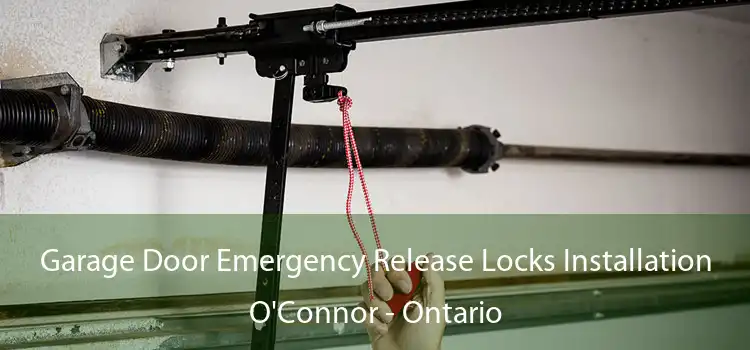 Garage Door Emergency Release Locks Installation O'Connor - Ontario