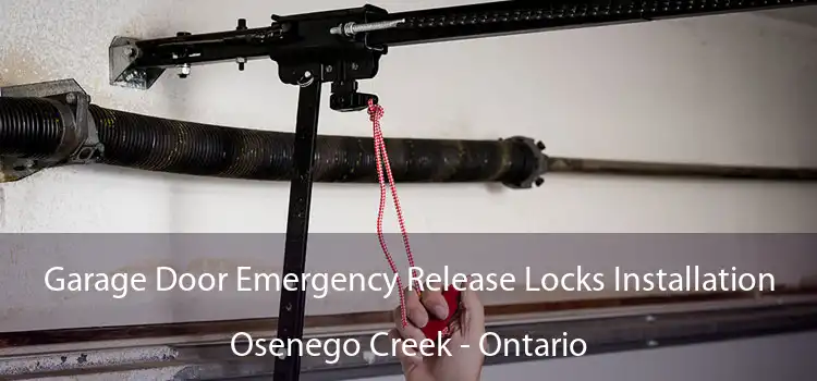 Garage Door Emergency Release Locks Installation Osenego Creek - Ontario