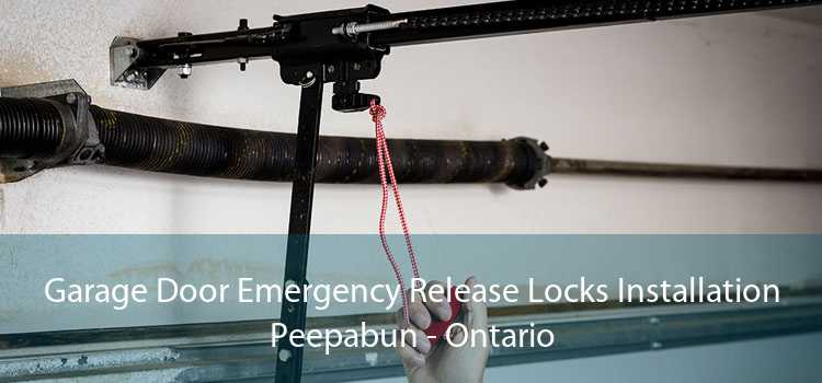 Garage Door Emergency Release Locks Installation Peepabun - Ontario