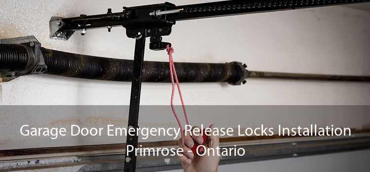 Garage Door Emergency Release Locks Installation Primrose - Ontario