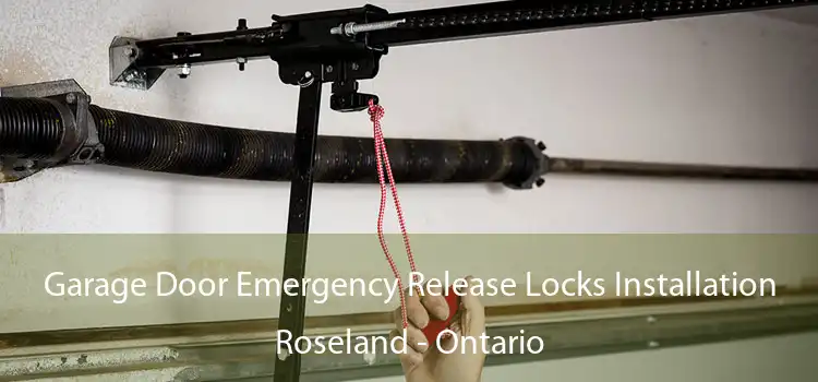 Garage Door Emergency Release Locks Installation Roseland - Ontario