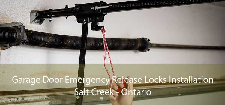Garage Door Emergency Release Locks Installation Salt Creek - Ontario