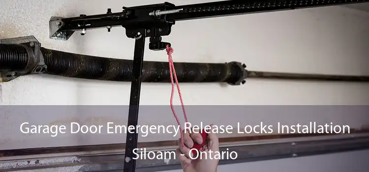 Garage Door Emergency Release Locks Installation Siloam - Ontario
