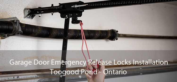 Garage Door Emergency Release Locks Installation Toogood Pond - Ontario