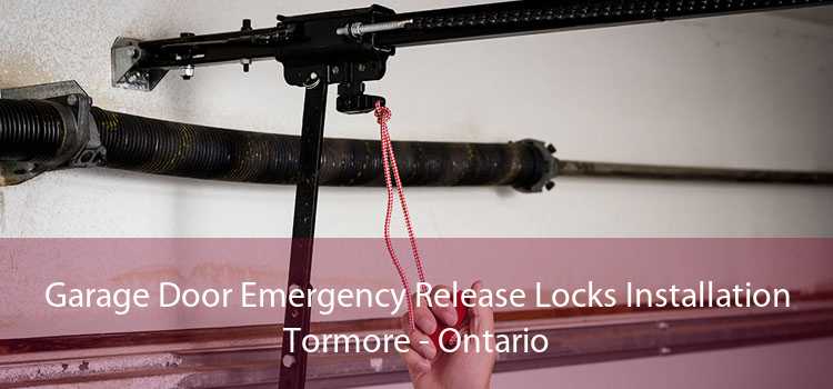 Garage Door Emergency Release Locks Installation Tormore - Ontario