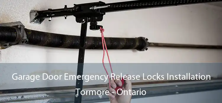 Garage Door Emergency Release Locks Installation Tormore - Ontario