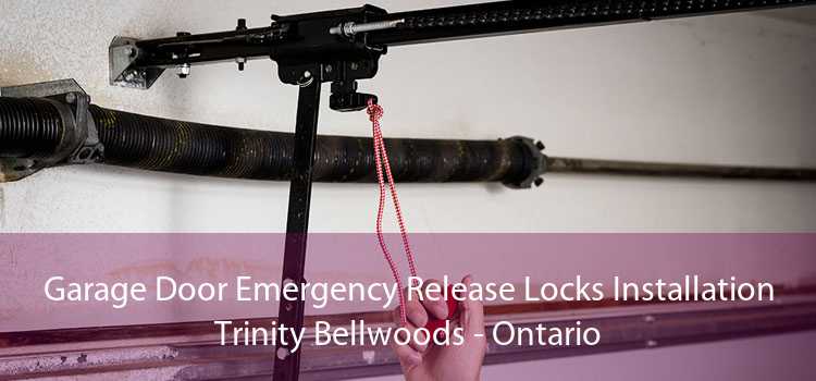 Garage Door Emergency Release Locks Installation Trinity Bellwoods - Ontario