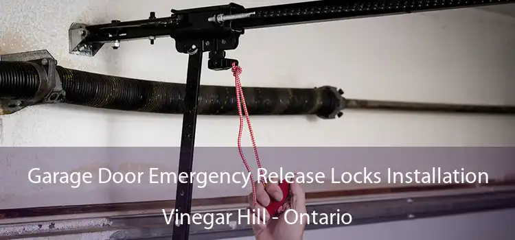 Garage Door Emergency Release Locks Installation Vinegar Hill - Ontario