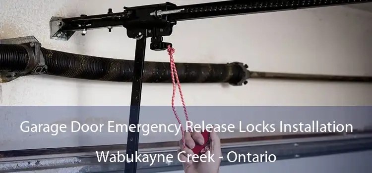 Garage Door Emergency Release Locks Installation Wabukayne Creek - Ontario