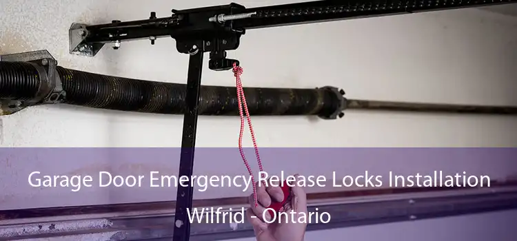 Garage Door Emergency Release Locks Installation Wilfrid - Ontario