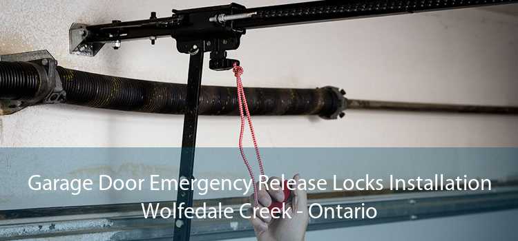 Garage Door Emergency Release Locks Installation Wolfedale Creek - Ontario