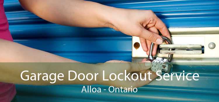 Garage Door Lockout Service Alloa - Ontario