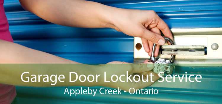 Garage Door Lockout Service Appleby Creek - Ontario
