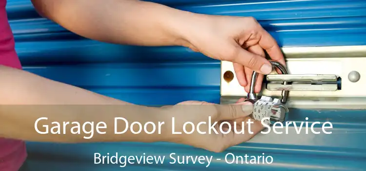 Garage Door Lockout Service Bridgeview Survey - Ontario