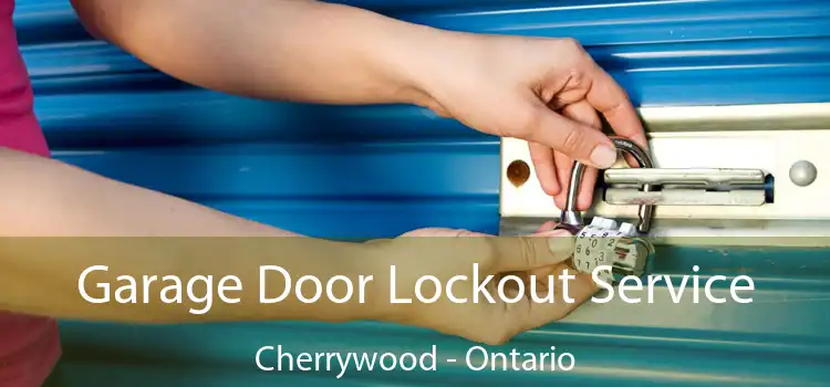 Garage Door Lockout Service Cherrywood - Ontario