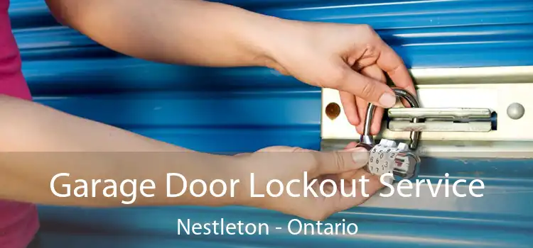 Garage Door Lockout Service Nestleton - Ontario