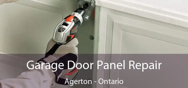 Garage Door Panel Repair Agerton - Ontario