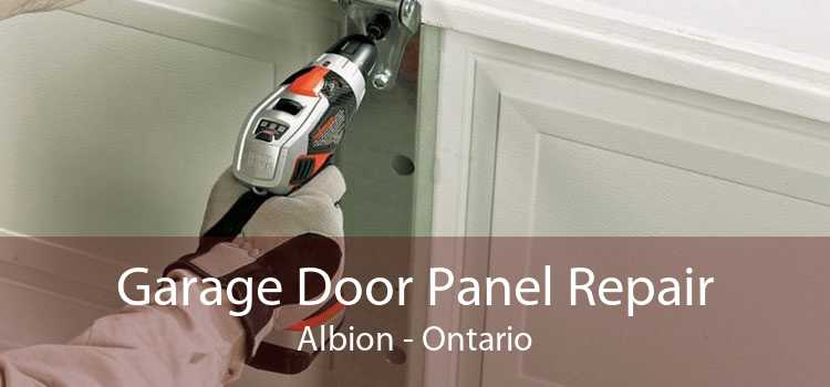 Garage Door Panel Repair Albion - Ontario