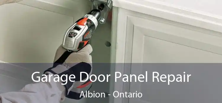 Garage Door Panel Repair Albion - Ontario