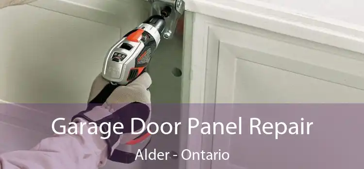 Garage Door Panel Repair Alder - Ontario
