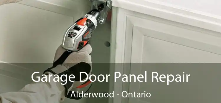 Garage Door Panel Repair Alderwood - Ontario