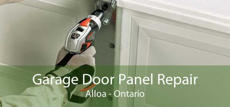 Garage Door Panel Repair Alloa - Ontario