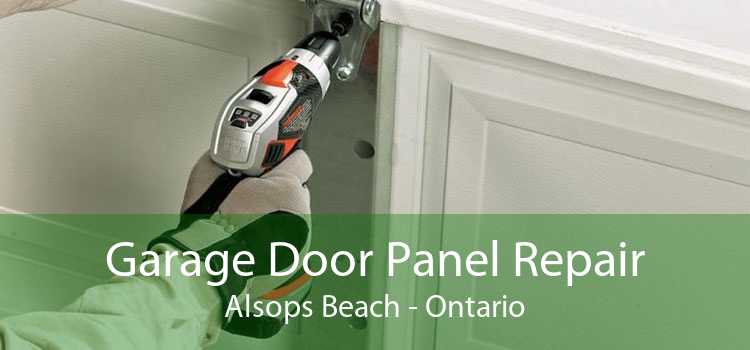 Garage Door Panel Repair Alsops Beach - Ontario