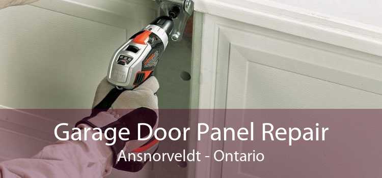 Garage Door Panel Repair Ansnorveldt - Ontario