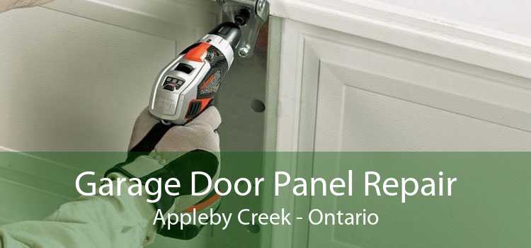 Garage Door Panel Repair Appleby Creek - Ontario