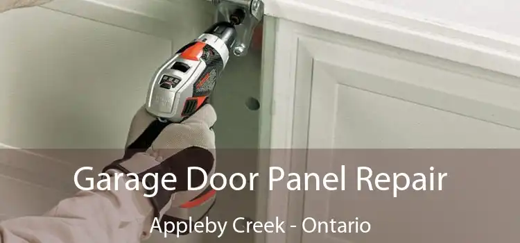 Garage Door Panel Repair Appleby Creek - Ontario