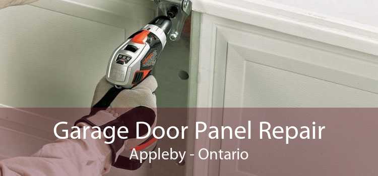 Garage Door Panel Repair Appleby - Ontario