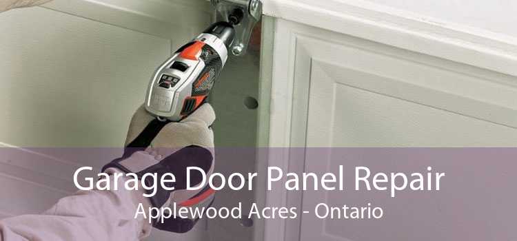 Garage Door Panel Repair Applewood Acres - Ontario