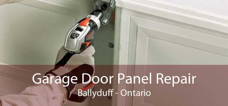 Garage Door Panel Repair Ballyduff - Ontario