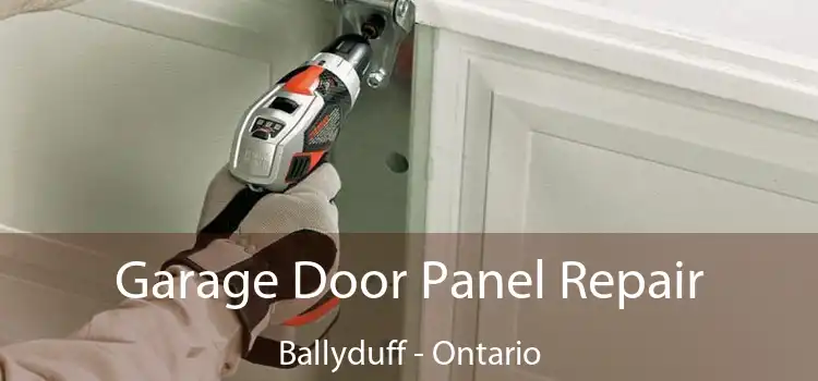 Garage Door Panel Repair Ballyduff - Ontario